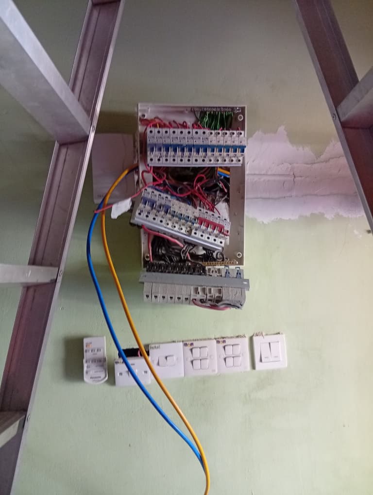 WhatsApp Image 2026-06-15 at 16.50.21